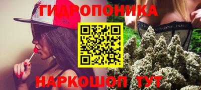 спиды Будённовск
