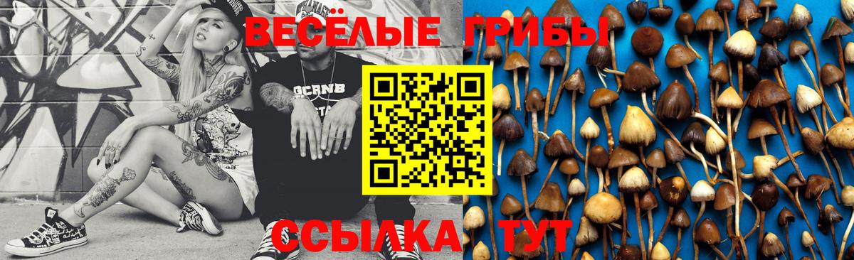 Псилоцибиновые грибы Magic Shrooms Валуйки